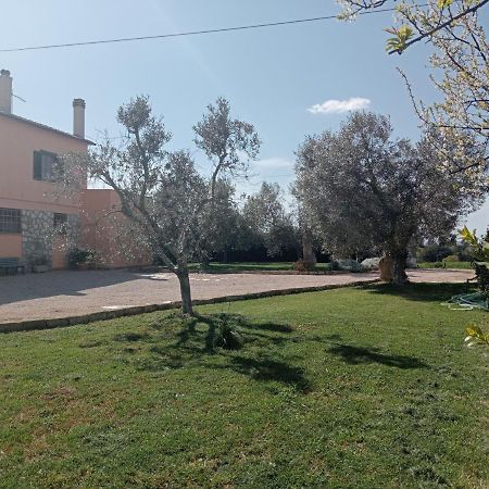 Villa In Campagna Tra Natura E Verde Montalto di Castro Exteriör bild