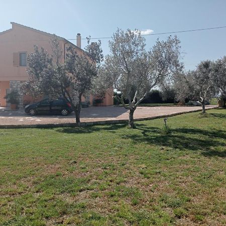 Villa In Campagna Tra Natura E Verde Montalto di Castro Exteriör bild