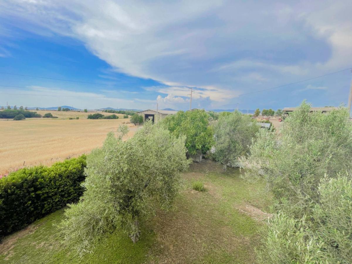 Villa In Campagna Tra Natura E Verde Montalto di Castro Exteriör bild