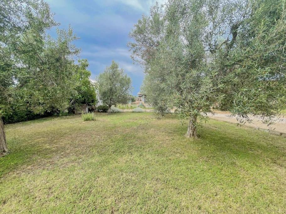Villa In Campagna Tra Natura E Verde Montalto di Castro Exteriör bild