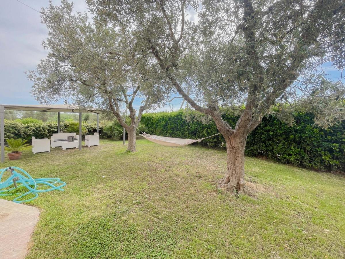 Villa In Campagna Tra Natura E Verde Montalto di Castro Exteriör bild