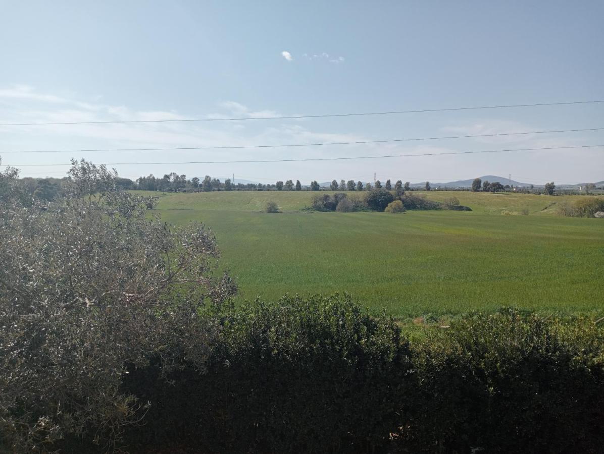 Villa In Campagna Tra Natura E Verde Montalto di Castro Exteriör bild