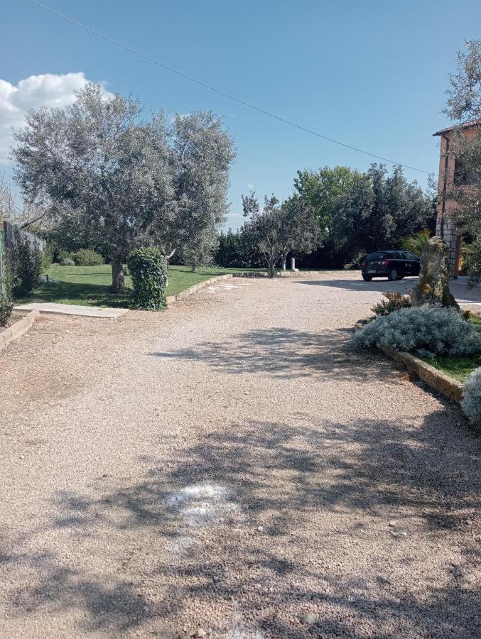 Villa In Campagna Tra Natura E Verde Montalto di Castro Exteriör bild