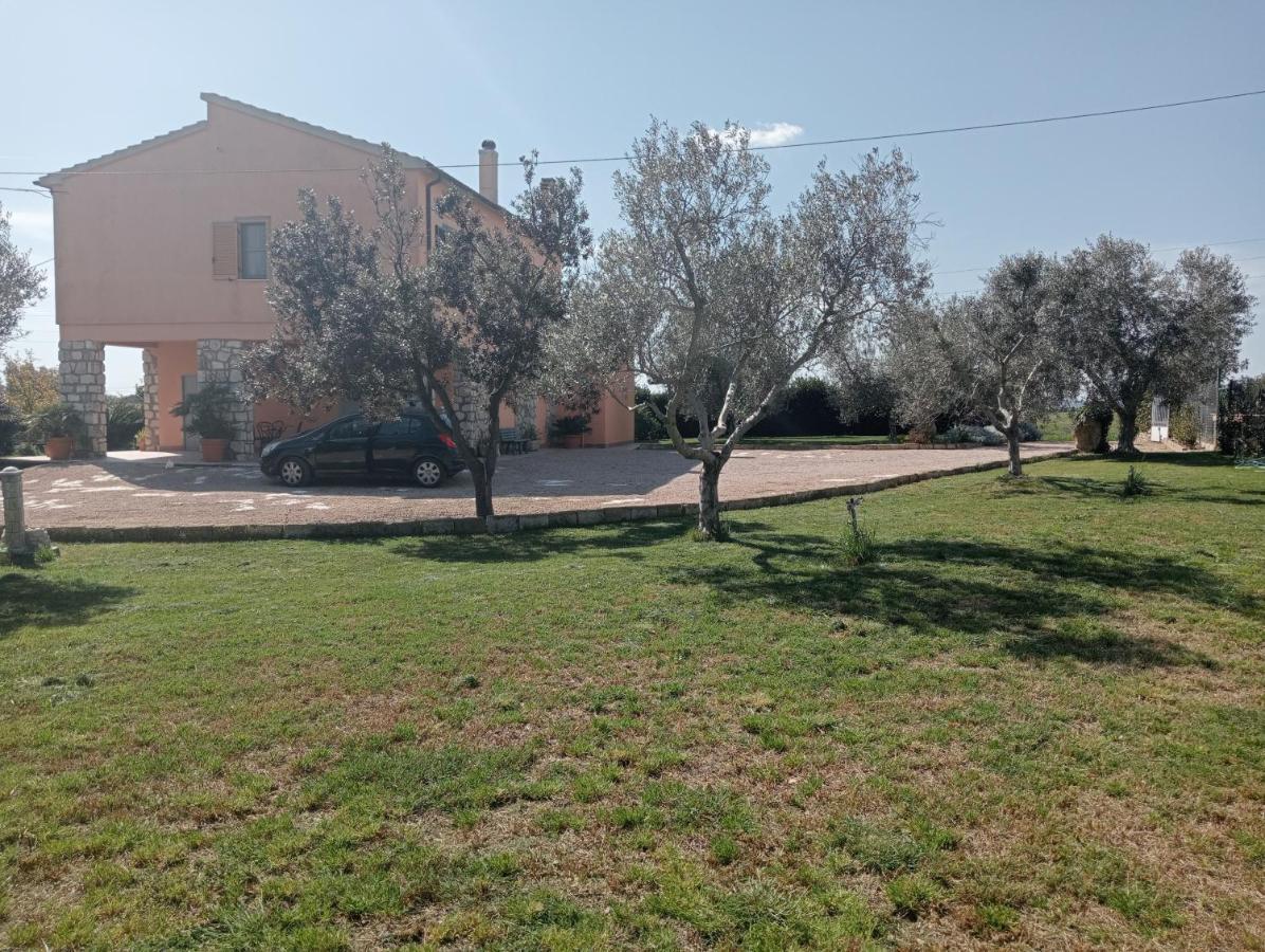 Villa In Campagna Tra Natura E Verde Montalto di Castro Exteriör bild