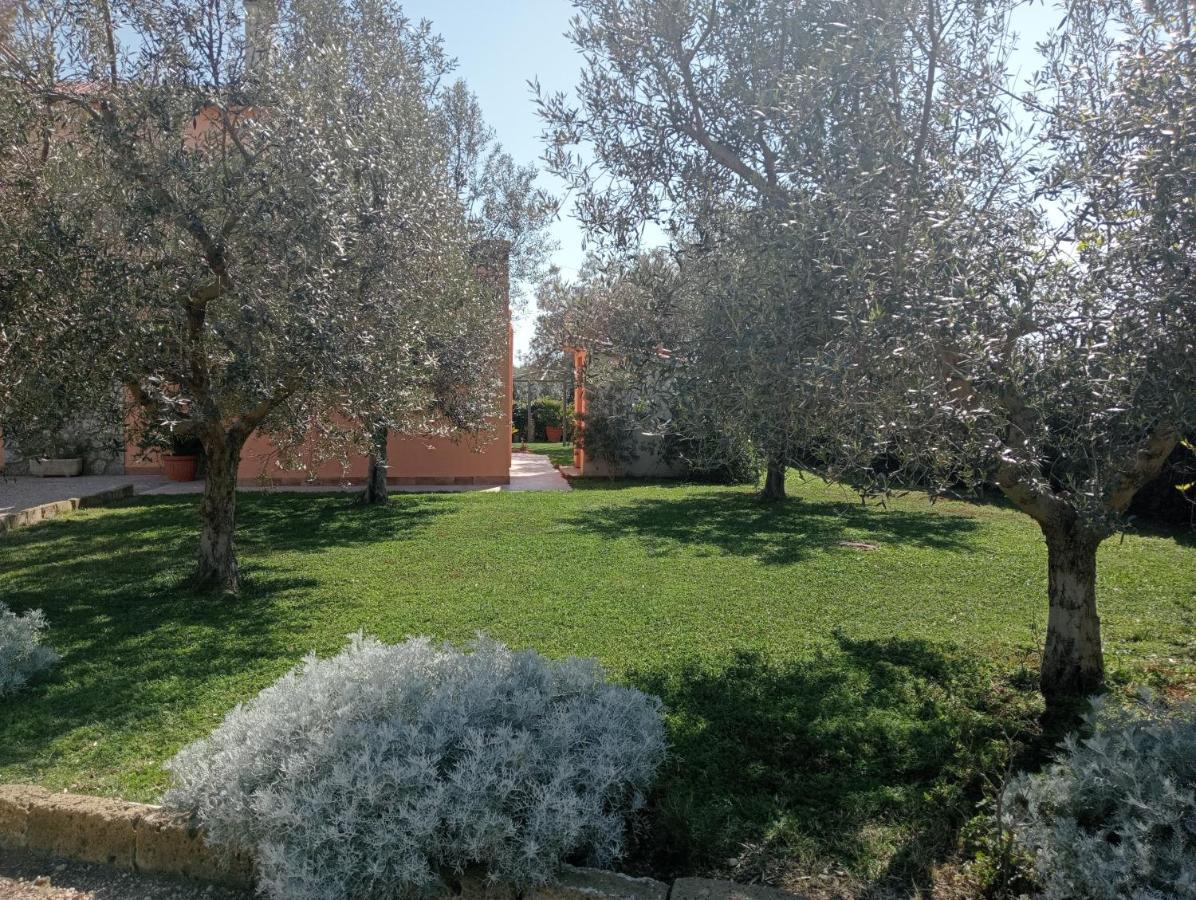 Villa In Campagna Tra Natura E Verde Montalto di Castro Exteriör bild