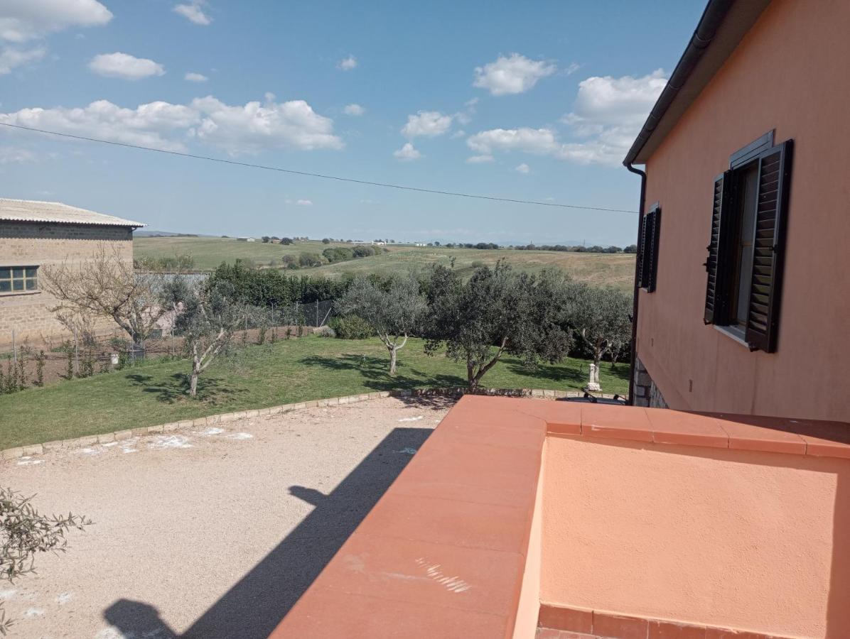 Villa In Campagna Tra Natura E Verde Montalto di Castro Exteriör bild